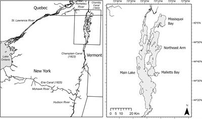 Contrasting energy pathways suggest differing susceptibility of pelagic fishes to an invasive ecosystem engineer in a large lake system